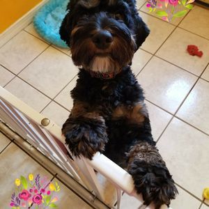 Meet your Posher, Adina